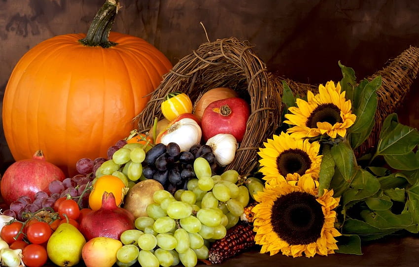 autumn, harvest, pumpkin, autumn, leaves, nuts, still life, fruits, pumpkin, harvest, distal for , section еда, November Harvest HD wallpaper