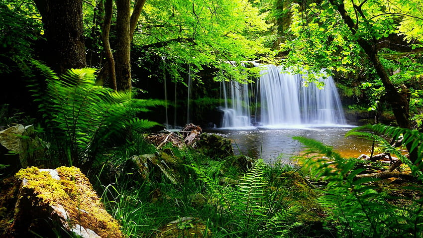 Nature , Landscape, Green, Cute , Mac HD wallpaper