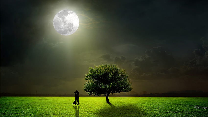 Dancing Under the Moonlight, night, full moon, dance, lovers, grass, tree, field, couple, dancers, romantic, evening HD wallpaper