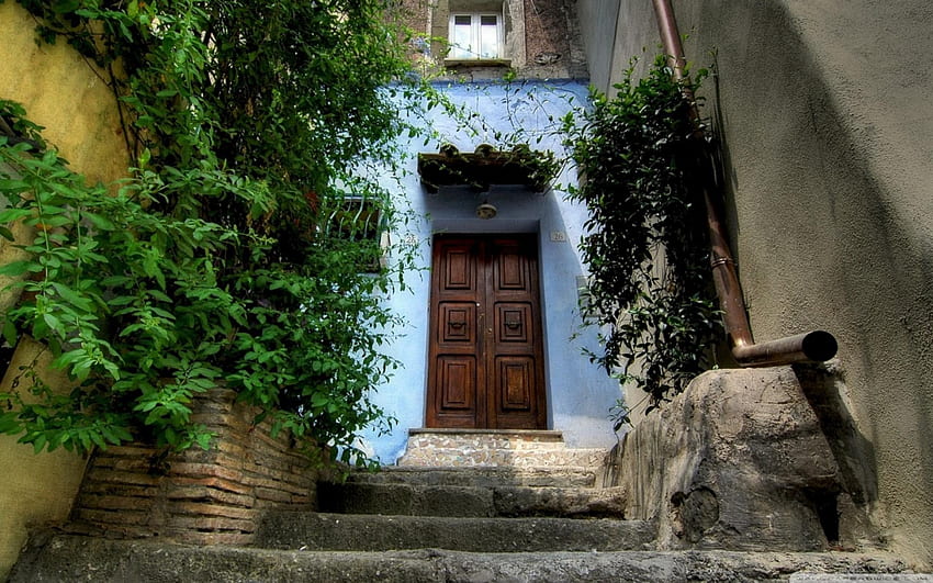 piękne stare drzwi pod numerem 26, schody, winorośl, drzwi, dom Tapeta HD