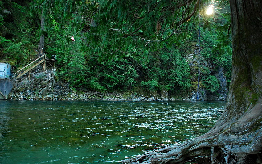 Doğa, Nehirler, Kanada, Orman HD duvar kağıdı