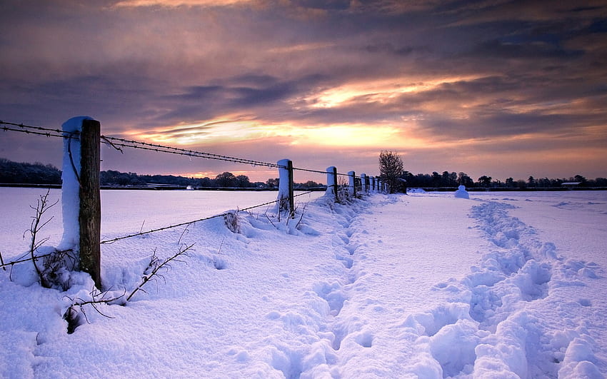 Matahari Terbenam Musim Dingin, salju, pagar, lanskap, awan, warna, langit, pedesaan Wallpaper HD