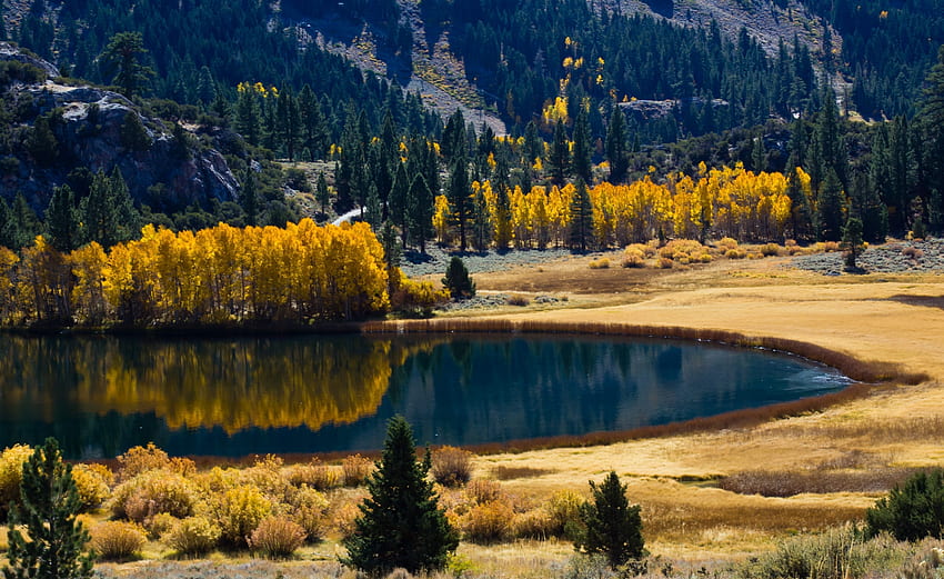 Naturaleza, árboles, montañas, otoño, lago fondo de pantalla