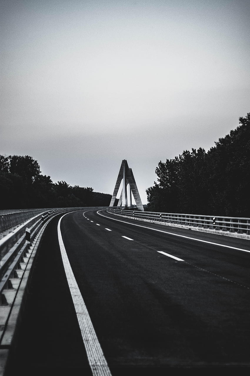 Nature Trees Road Markup Bw Chb HD Phone Wallpaper Pxfuel