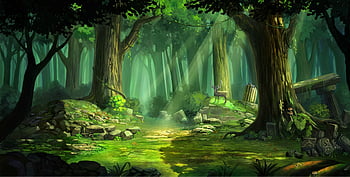 Anime, floresta, paisagem, HD papel de parede