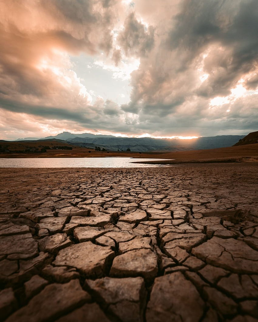 rissige braune Erde –, Dürre HD-Handy-Hintergrundbild
