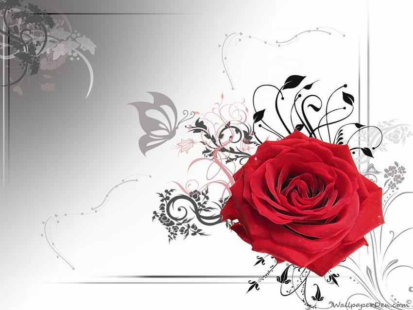เวกเตอร์สีแดง กุหลาบ นามธรรม จินตนาการ ดอกไม้ วอลล์เปเปอร์ HD