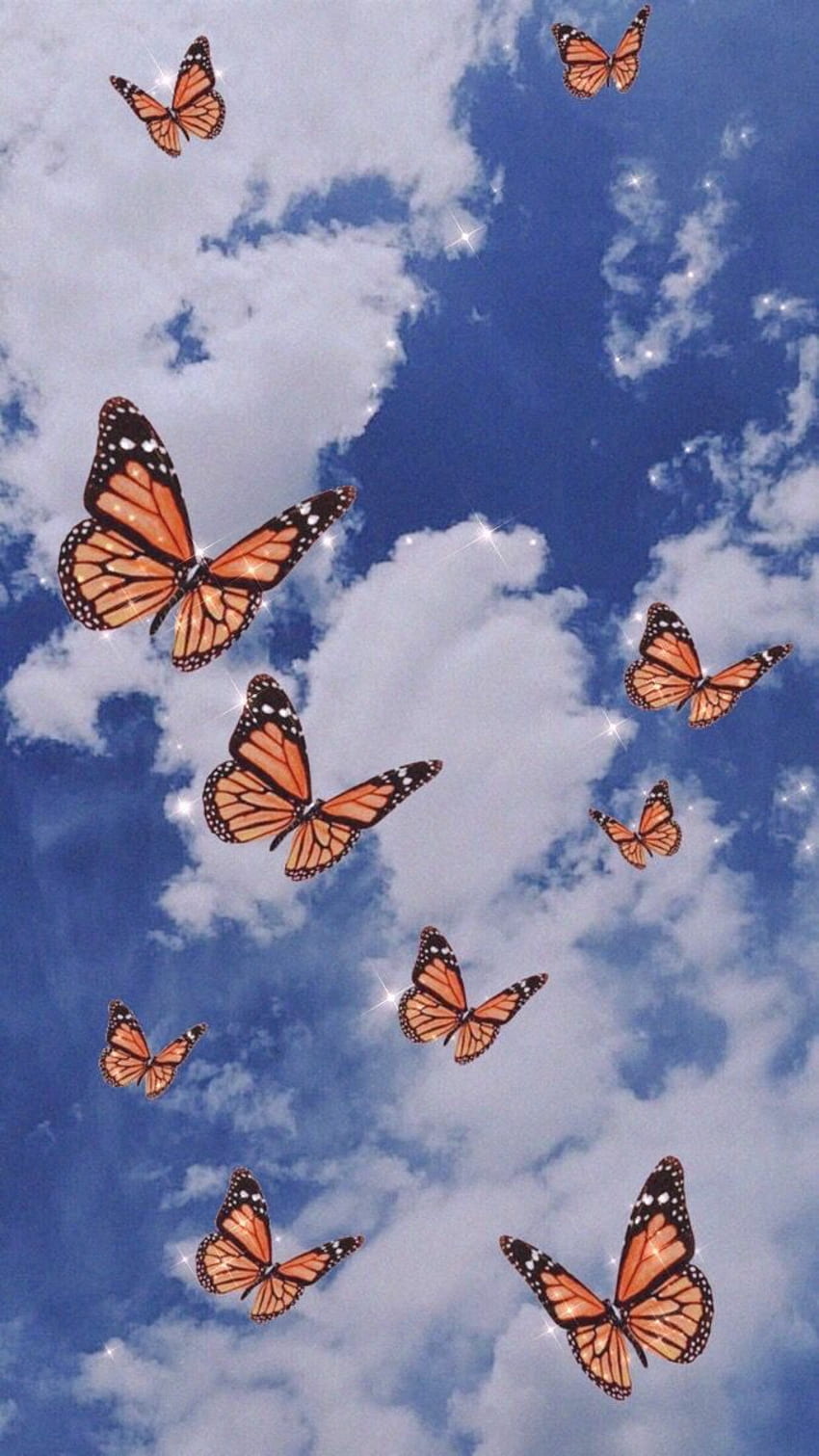up up and away <, Aesthetic Orange Butterfly HD phone wallpaper