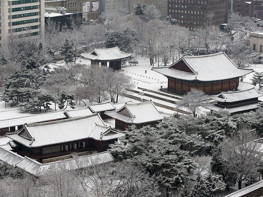 In : Heavy snowfall hits Seoul, Korea Snow HD wallpaper