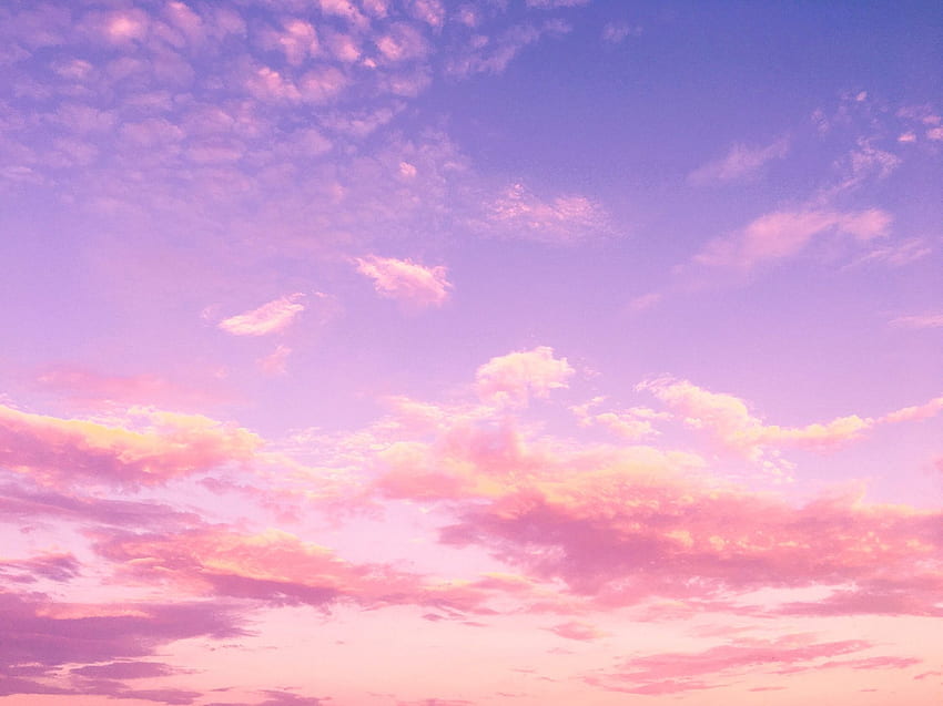 ピンクの空 - 、コウモリのピンクの空の背景、きれいな空 高画質の壁紙