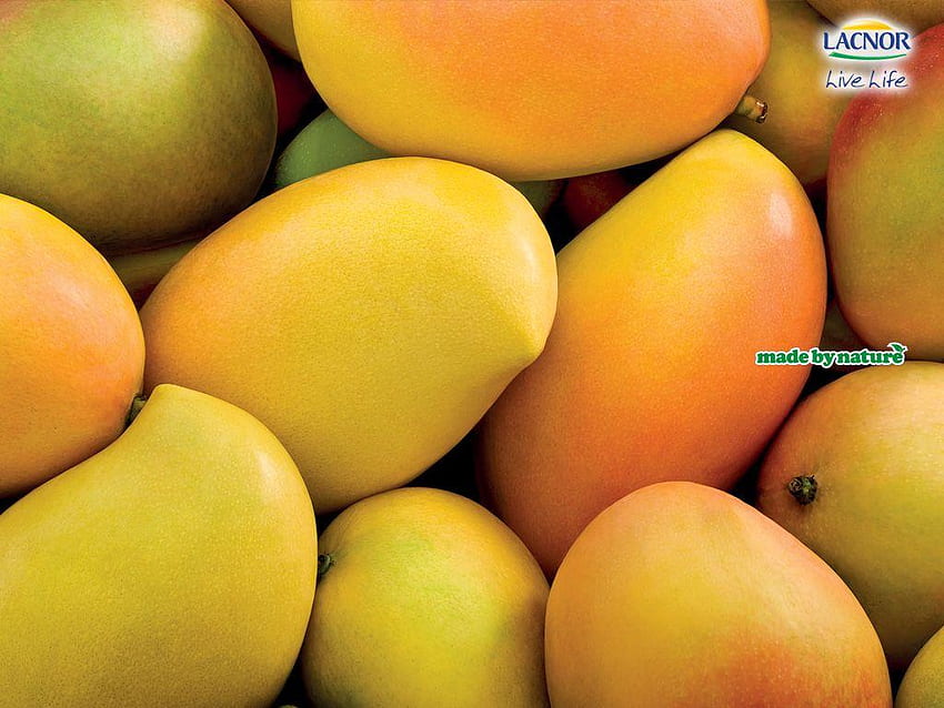 Alfonso Mango, Fruta Mango fondo de pantalla