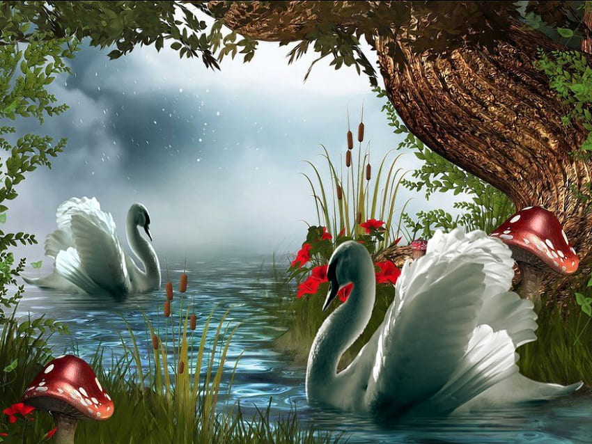swans in the moonlight, swans in the moonlightswans in the moonlightswans in the moonlightswans in the moonlight, swan lake, nlight, swans in the moo HD wallpaper
