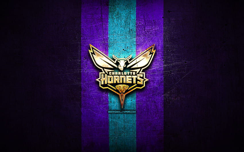 Charlotte Hornets, goldenes Logo, NBA, violetter Metallhintergrund, amerikanischer Basketballclub, Charlotte Hornets-Logo, Basketball, USA für mit Auflösung. Gute Qualität HD-Hintergrundbild
