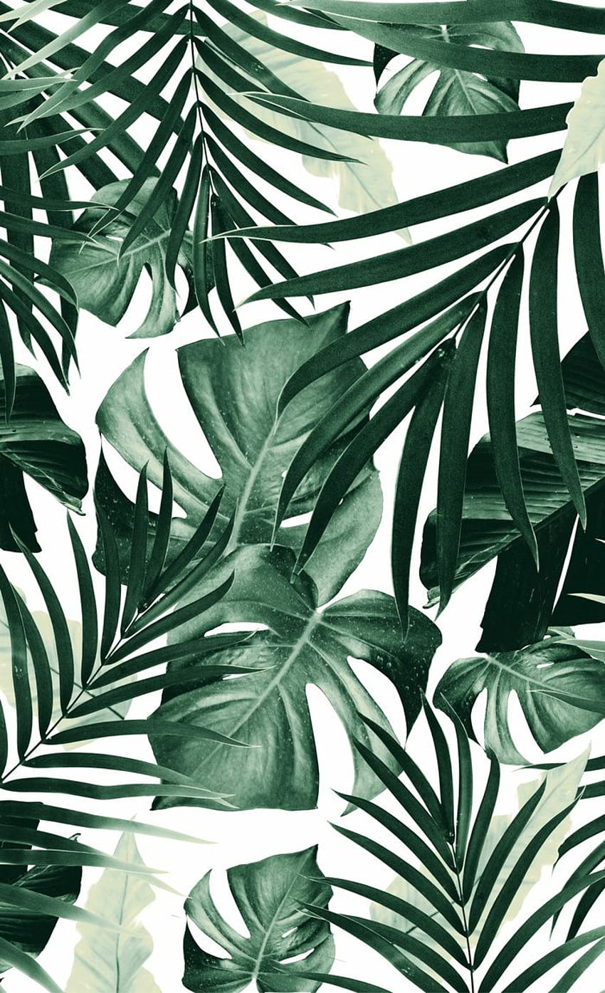 Patrón de hojas de selva tropical fondo de pantalla del teléfono