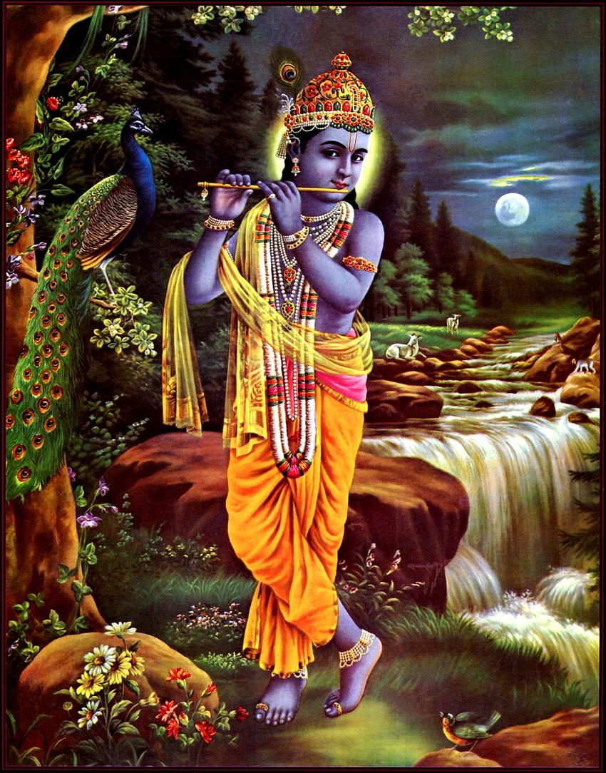 Lord Shree Krishna Playing Flute In Vrindavan – , Whatsapp , Youtube Video, Mobile , etc HD phone wallpaper