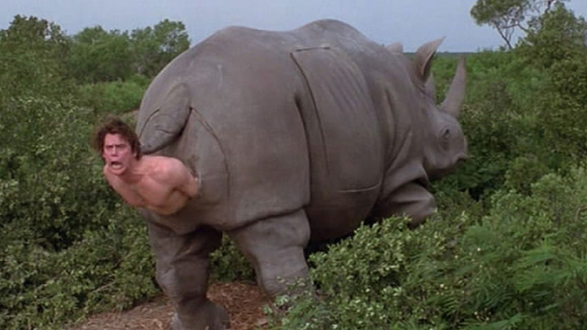 Ace Ventura rinoceronte Meme Generator Sfondo HD