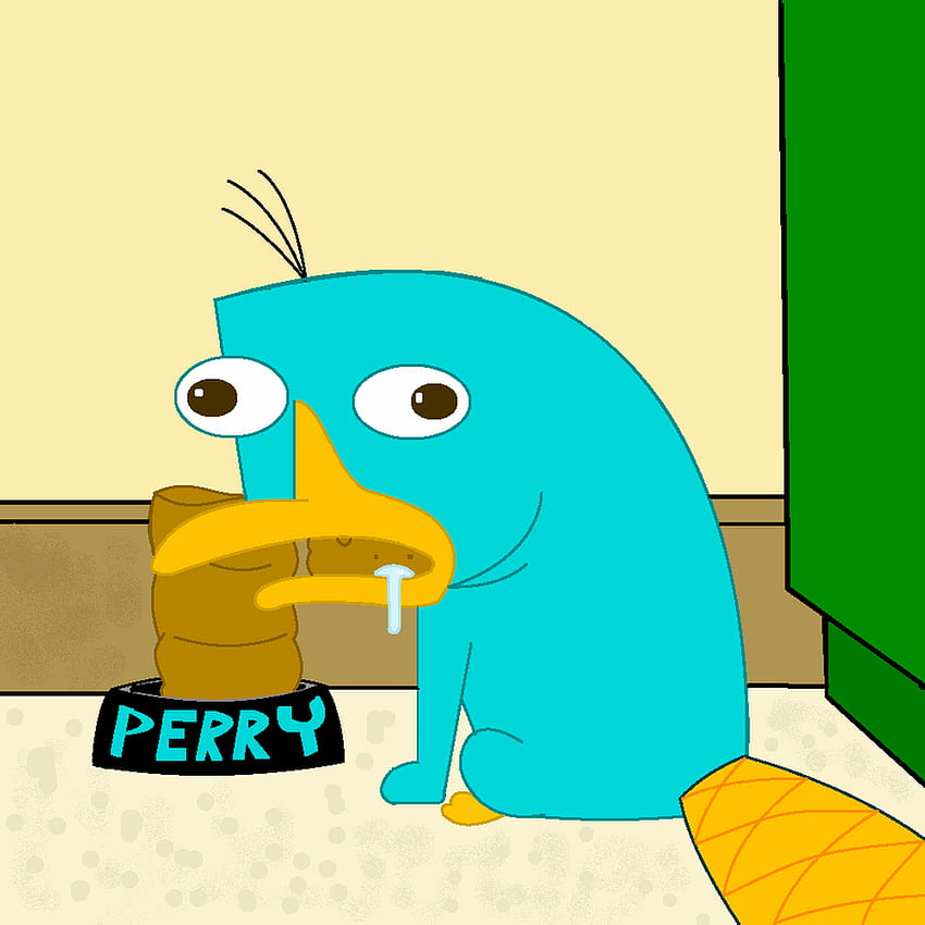 Perry The Platypus Agent P Wallpaper Download  Perry The Platypus  Free  Transparent PNG Clipart Images Download