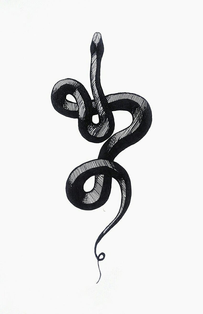 Tattoo Art Snake Hand Drawing And Sketch Black And White