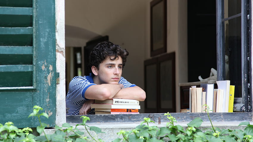 Call Me By Your Name Timothee Chalamet Movies Call Me By Your Name Aesthetic Hd Wallpaper Pxfuel