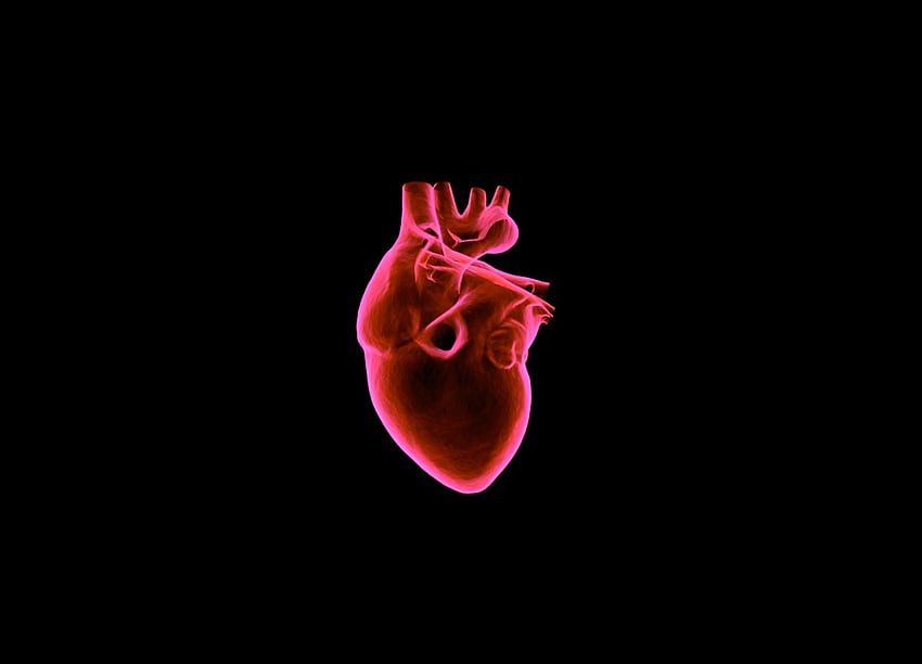 heart, art, muscular organ, dark background, red background, Robot Heart HD wallpaper
