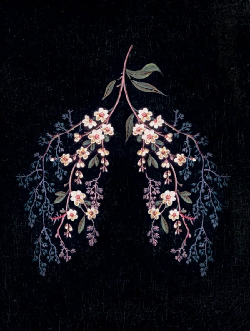 Lungs art HD wallpapers | Pxfuel