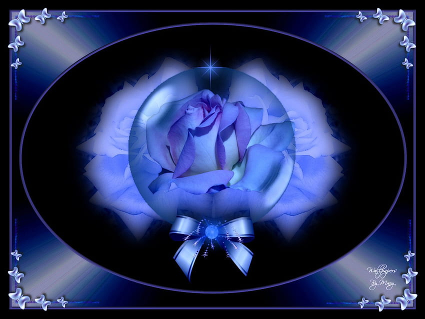 rosas azules 1600x1200, rosas, globos, arcos, flores, azul, rosa fondo de pantalla