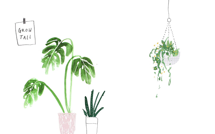 Празни растения, бяло минималистично растение HD тапет