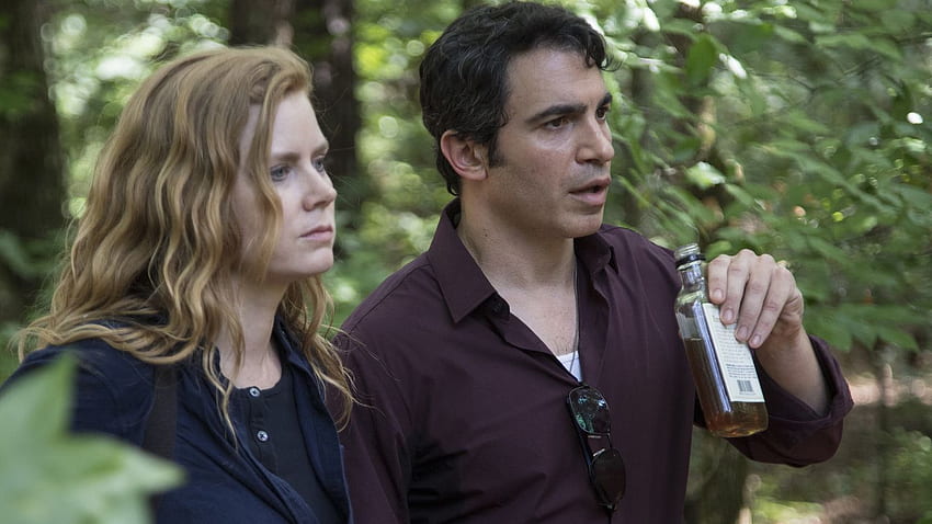 Amy Adams Dominates HBO's 'Sharp Objects'. Sharp objects, Chris messina, New shows HD wallpaper