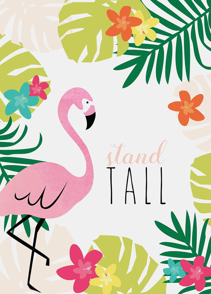 Cute Flamingo , Flamingo Art HD phone wallpaper