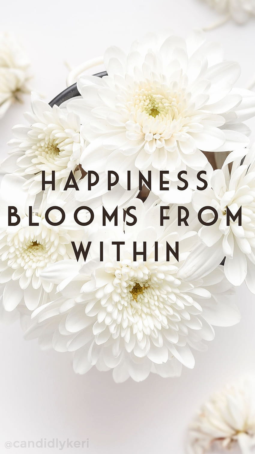 Happiness blooms from within daisy flowers quote inspirational, Happy Flowers HD phone wallpaper