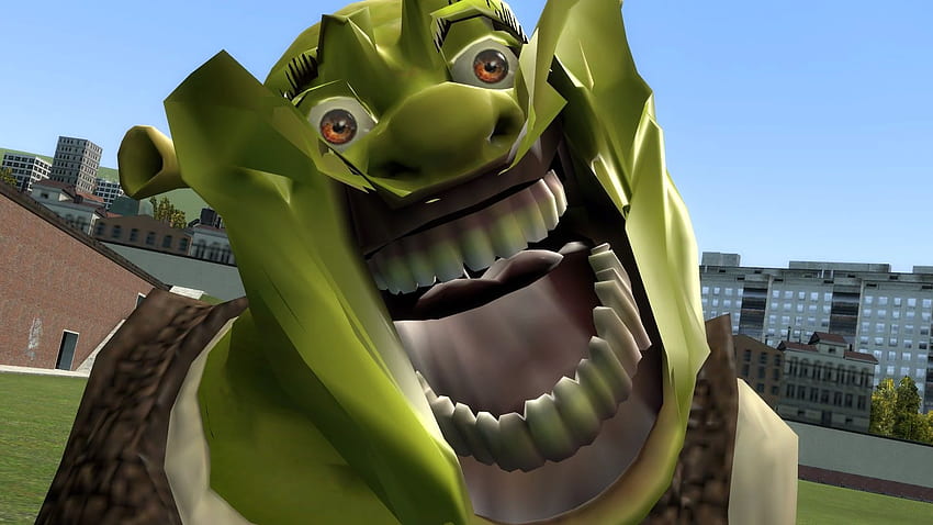 Le visage de Shrek, Shrek Memes Fond d'écran HD