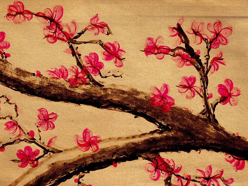 Standart 4:3 - Aesthetic, Blossom, Cherry, Aesthetic Floral HD wallpaper