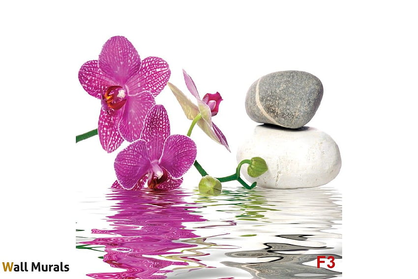 стенопис орхидея и спа камъни във вода, бамбук Orchid Stones HD тапет