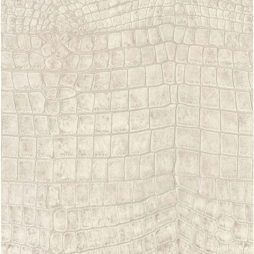 Galerie Large Dark Beige Crocodile Skin 51157507 – Lancashire & Paint Co HD phone wallpaper