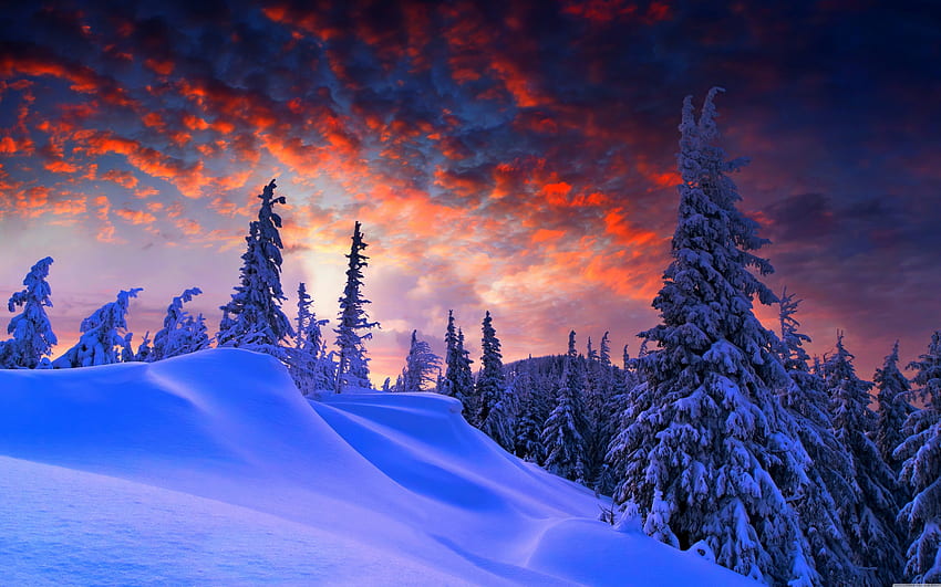 Winter evening, beautiful sky, trees, clouds HD wallpaper