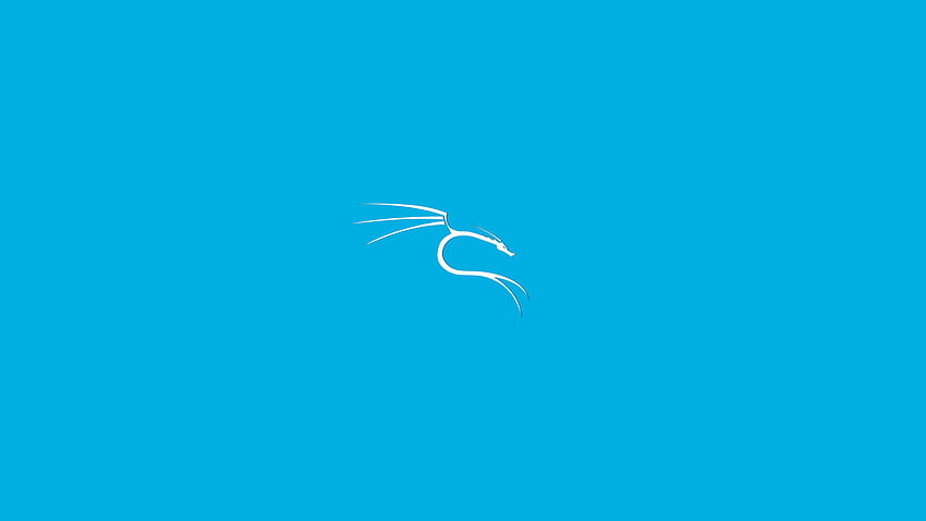 GitHub Dorianpro Kali Linux : Набор от специализиран Kali Linux*, който ще актуализирам редовно. Всички те са направени с помощта на GIMP и други GNU Linux FOSS, Nethunter HD тапет