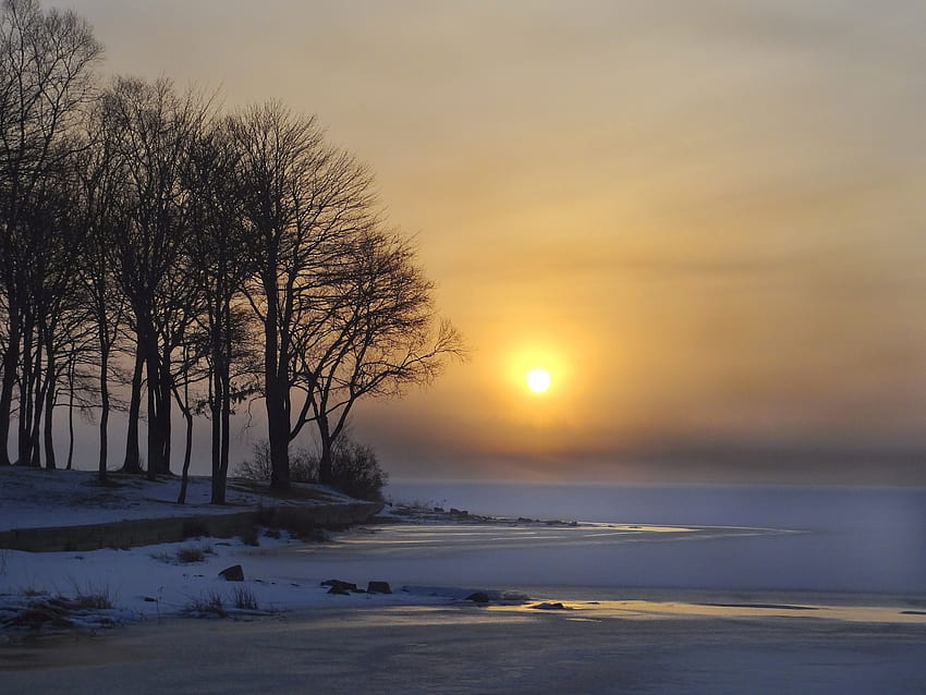 Winter, Nature, Trees, Sun, Ice, Snow, Dawn, Lake HD wallpaper