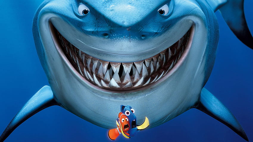การ์ตูน Finding Nemo, Dory, bruce, Nemo วอลล์เปเปอร์ HD