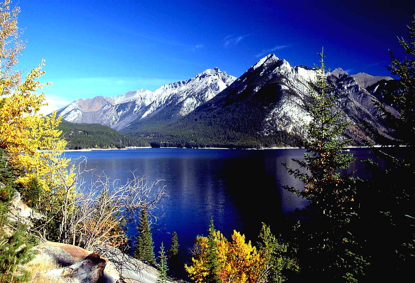 아름다운 앨버타, 파랑, 아름다운, 꽃, 산, 앨버타, 호수, 공원 HD 월페이퍼