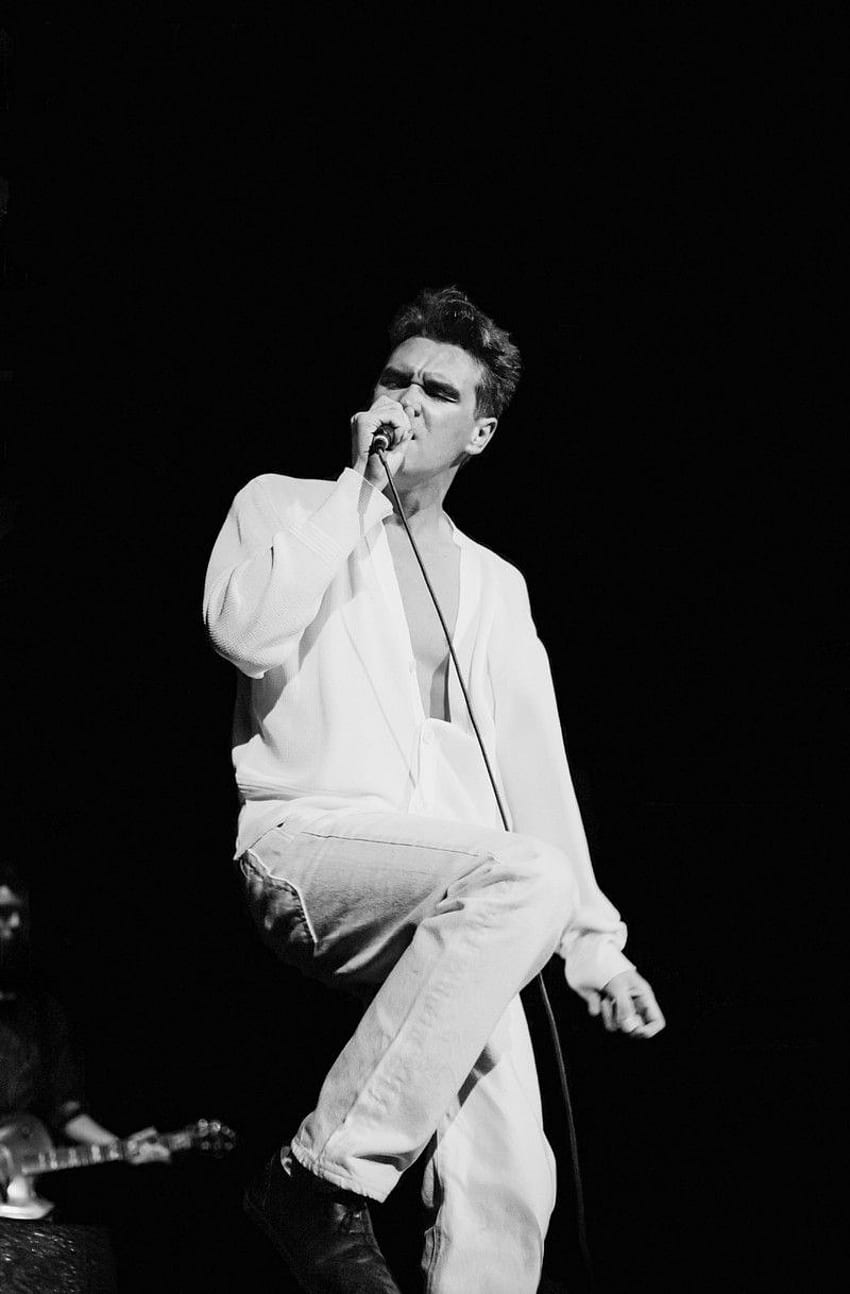 Referensi Morrissey dalam Suara, Visi, dan Gaya Hidup - Yang Anda Butuhkan Adalah Morrissey wallpaper ponsel HD