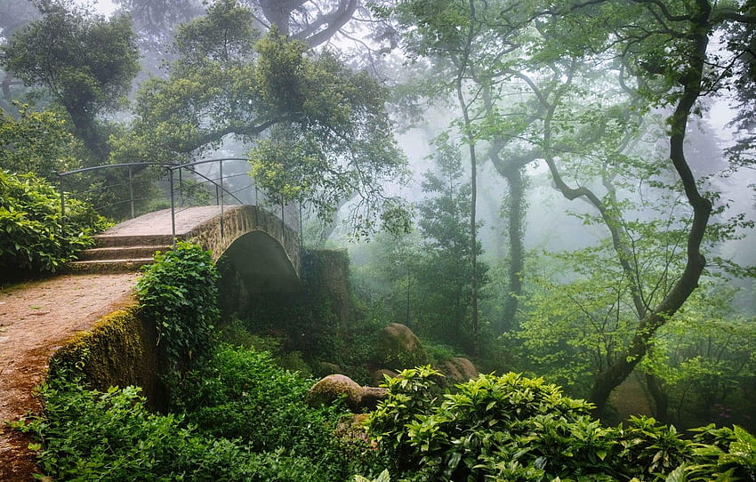 forest, bridge, haze, Portugal, Sintra HD wallpaper