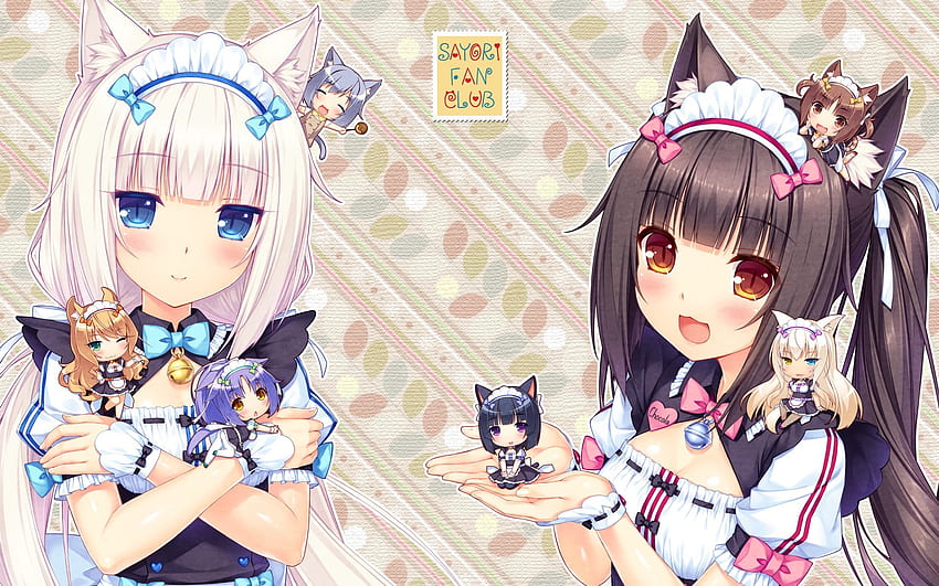 Nekopara. ordenador nekopara fondo de pantalla | Pxfuel