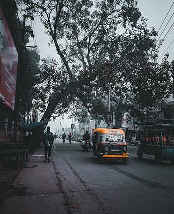 Aligarh Muslim University