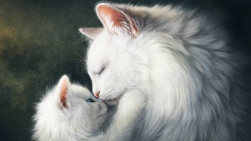 White Cat Art . Studio 10. Tens of thousands HD wallpaper