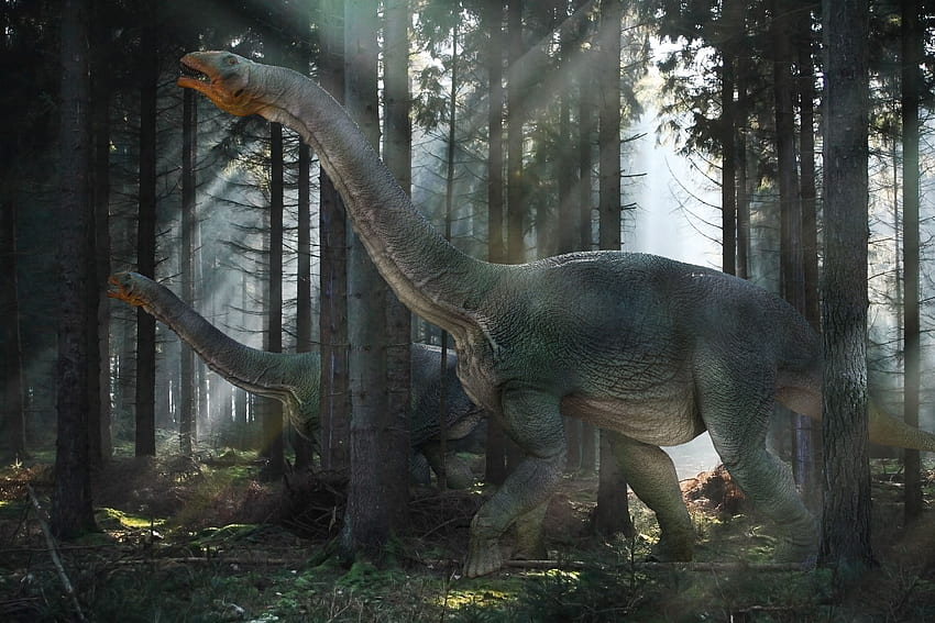 Animals, Forest, Stroll, Dinosaur, Mesozoic Era HD wallpaper