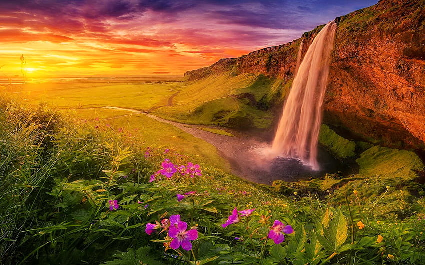 Seljalandsfoss, Исландия, диви цветя, водопад, красиво, небе, скали, залез, огнен HD тапет