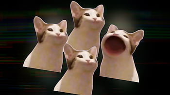 Free download | Wide Mouth Singing Cat . Pop Cat. Pop Cat, Cat Memes ...