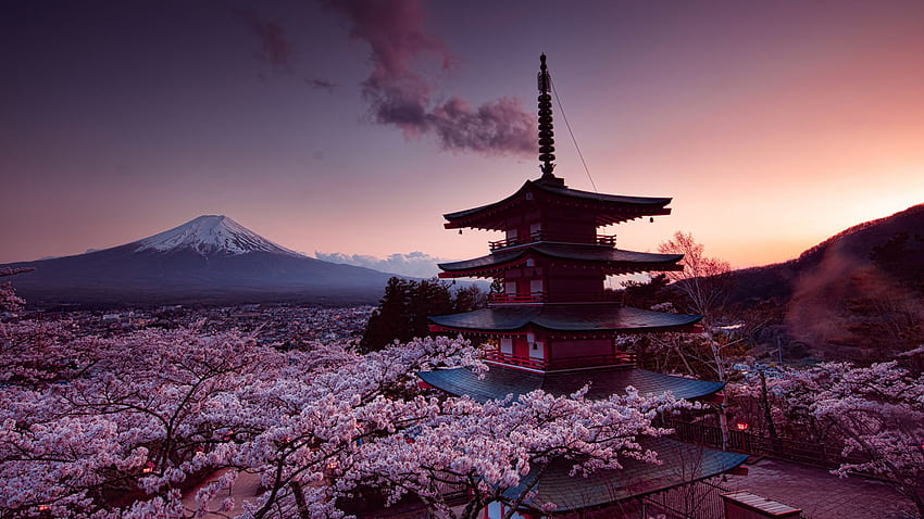 후지산 일본 화산 벚꽃 Churei, 2560x1440 벚꽃 HD 월페이퍼