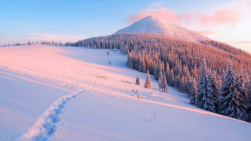 Schnee für Ihren oder mobilen schirm und einfach zu Schneelandschaft HD-Hintergrundbild