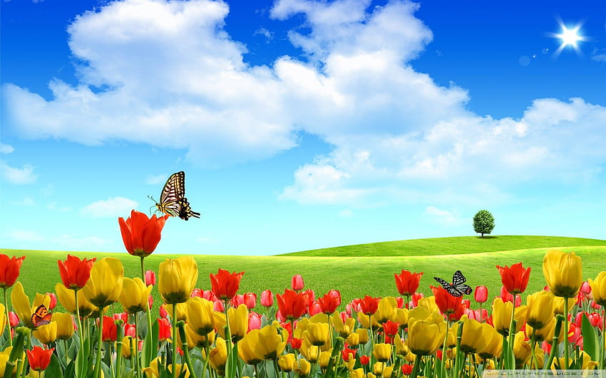 Frühlings-Naturszenen (in Sammlung) HD-Hintergrundbild